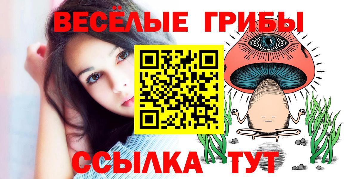 Истра  Галлюциногенные грибы Cubensis  Псилоцибиновые грибы GOLDEN TEACHER  Вход с VPN 